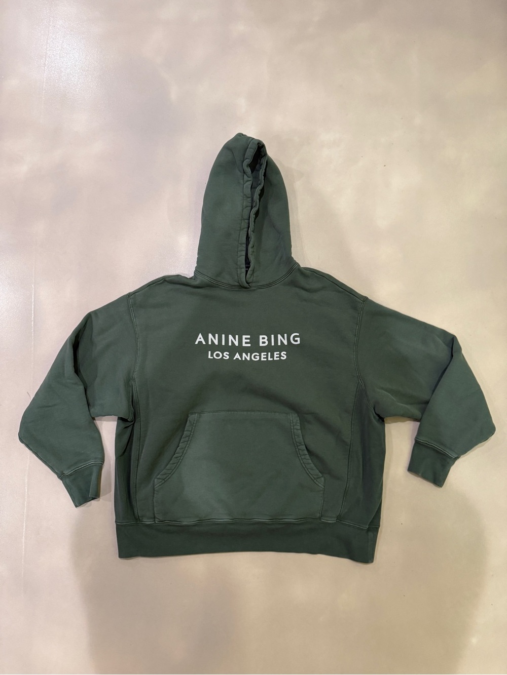 Anine Bing Alto Loho Print Hoodie